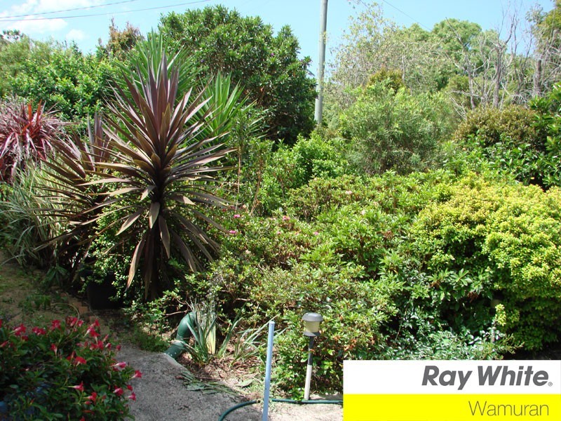 6 Hendy Street, Woodford QLD 4514