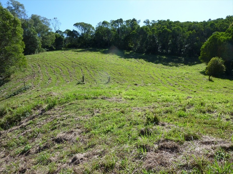 Wamuran QLD 4512