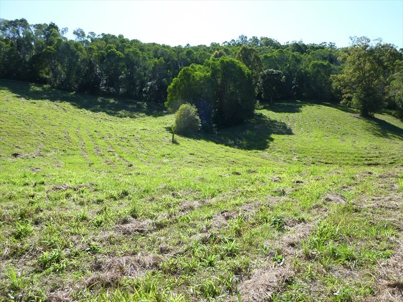 Wamuran QLD 4512