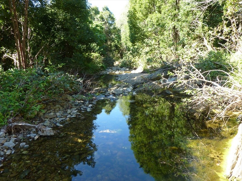 Wamuran QLD 4512