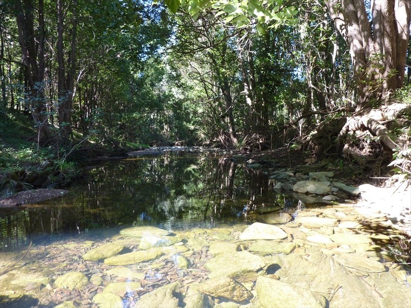 Wamuran QLD 4512