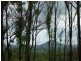 Wamuran QLD 4512