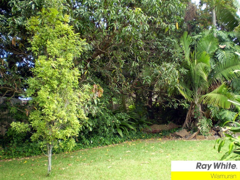 34 Coochin Hills Drive, Beerwah QLD 4519