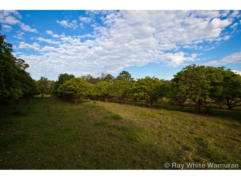 919 D’Aguilar Highway, Wamuran QLD 4512