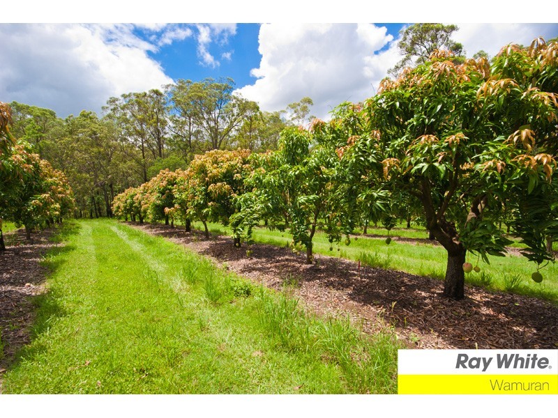 Wamuran QLD 4512