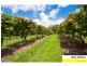 Wamuran QLD 4512