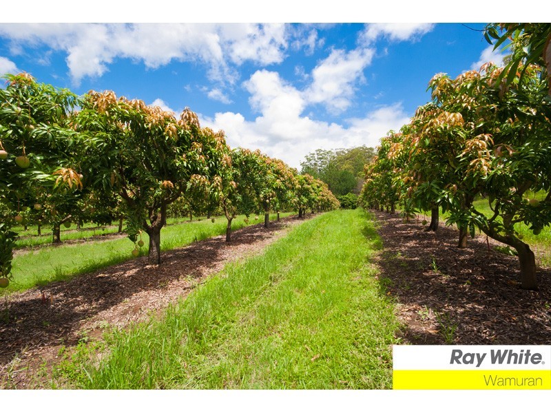 Wamuran QLD 4512