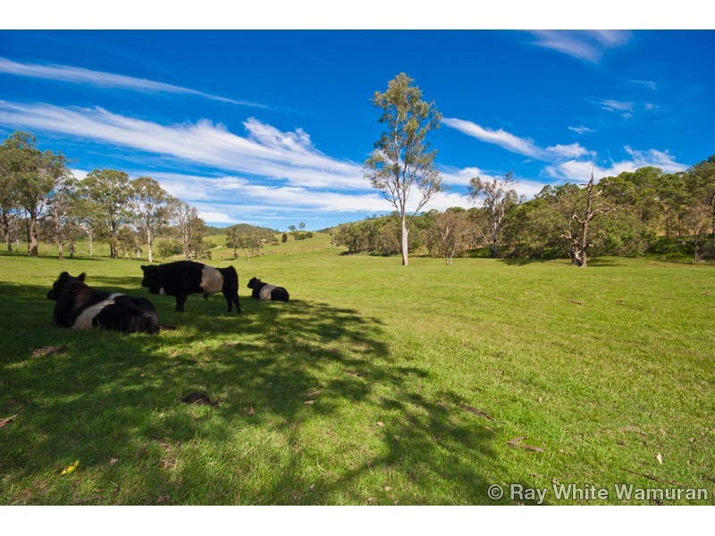 426 Mount Mee Road, Delaneys Creek QLD 4514