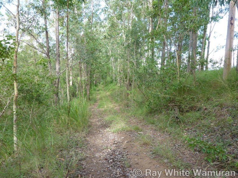 299 Grays Road, Woodford QLD 4514