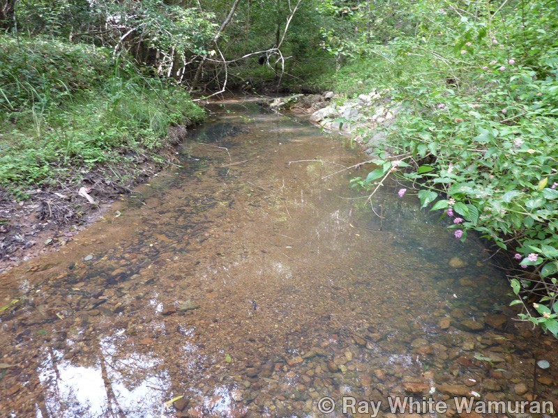 299 Grays Road, Woodford QLD 4514