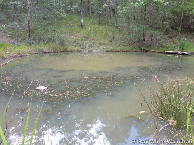 299 Grays Road, Woodford QLD 4514