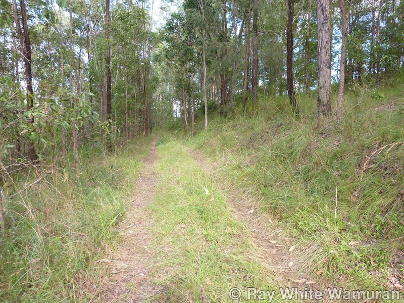 299 Grays Road, Woodford QLD 4514