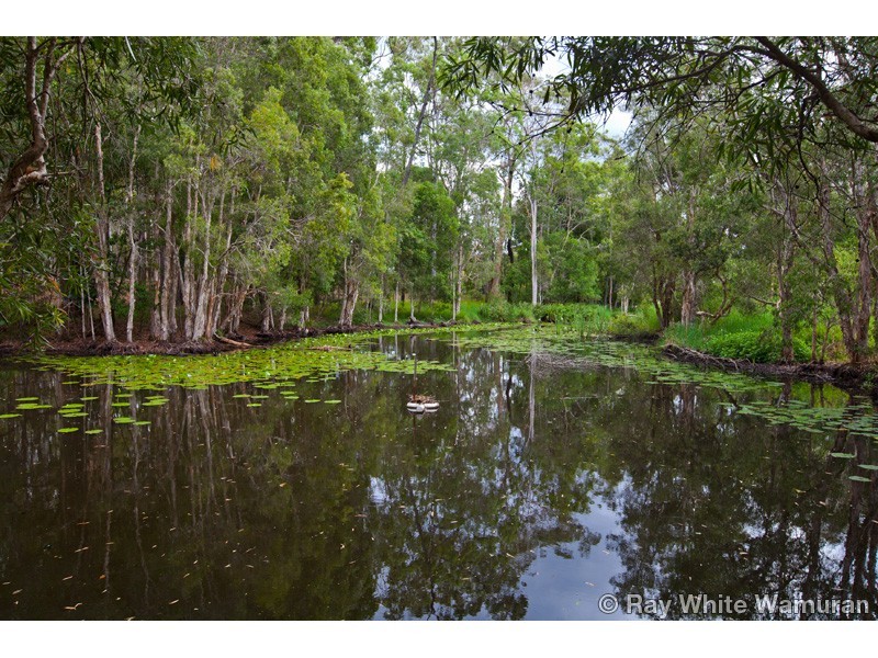 Wamuran QLD 4512