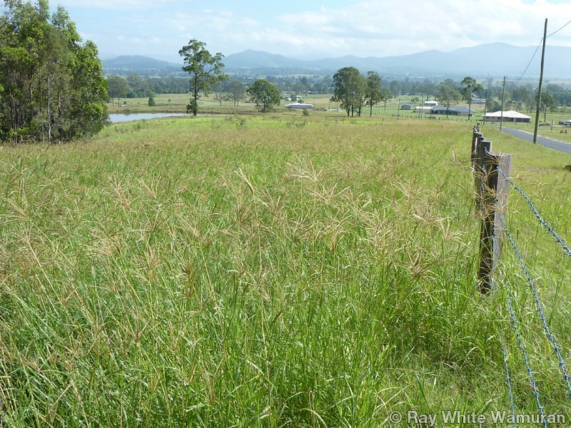 Mount Archer QLD 4514