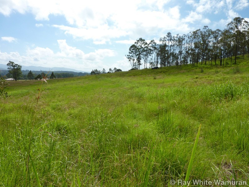 Mount Archer QLD 4514