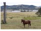 Woodford QLD 4514