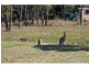 Woodford QLD 4514