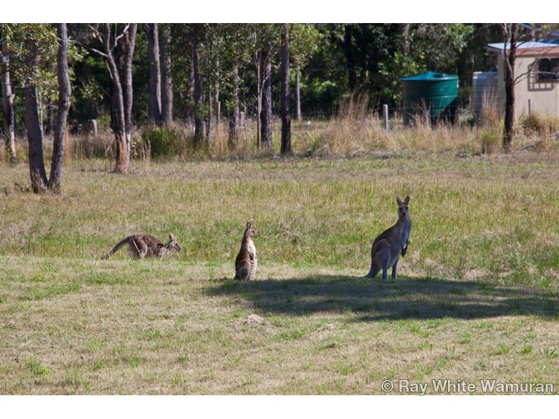 Woodford QLD 4514