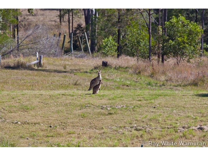 Woodford QLD 4514