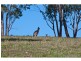 Woodford QLD 4514
