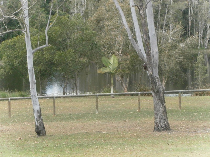 Wamuran QLD 4512