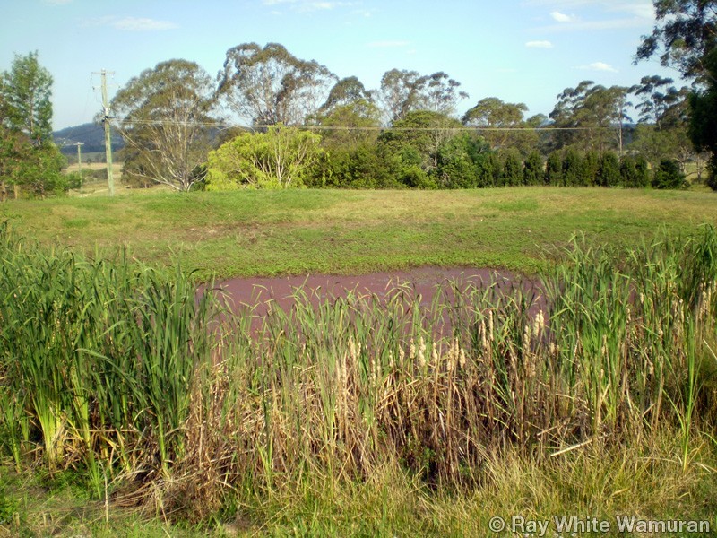 156 Hill Road, Stanmore QLD 4514