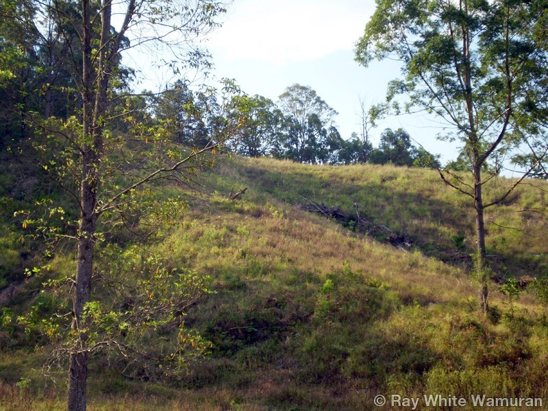 156 Hill Road, Stanmore QLD 4514