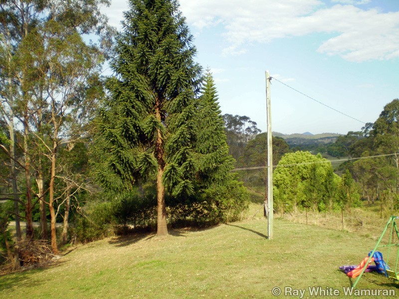 156 Hill Road, Stanmore QLD 4514