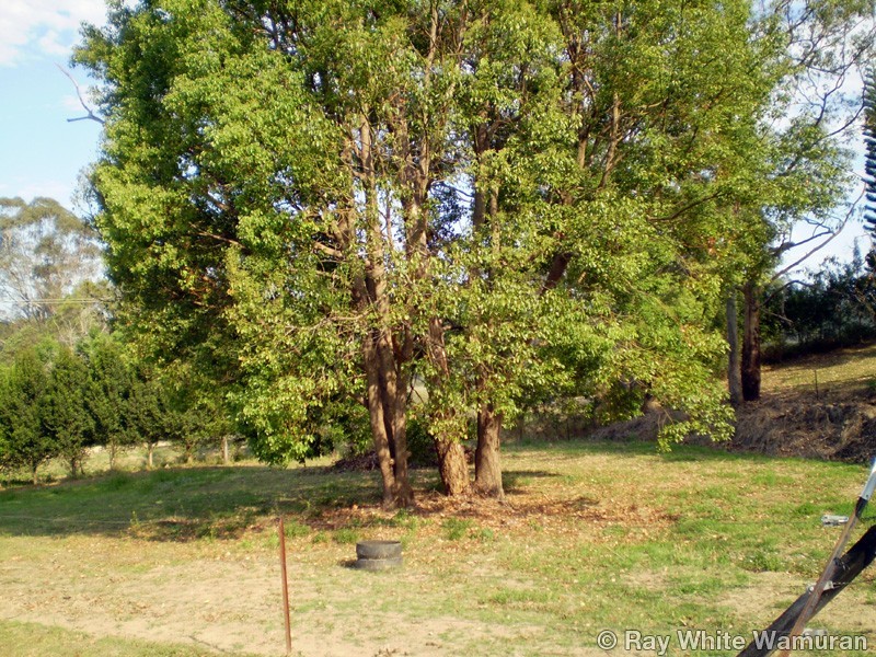 156 Hill Road, Stanmore QLD 4514