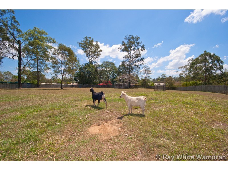 24 Chapman Drive, Wamuran QLD 4512