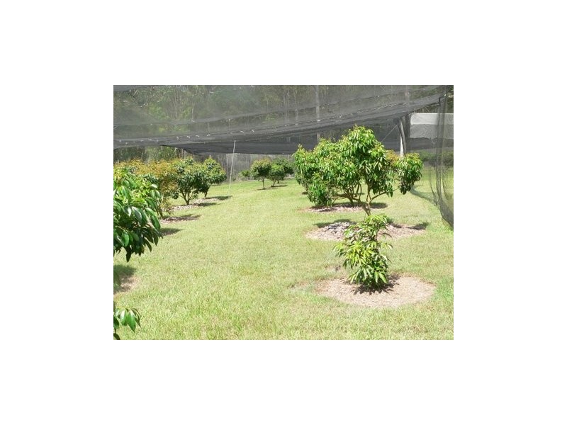Delaneys Creek QLD 4514