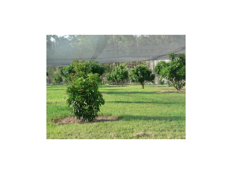 Delaneys Creek QLD 4514