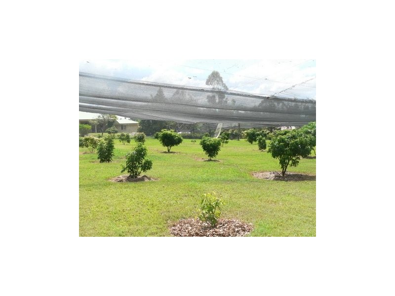 Delaneys Creek QLD 4514