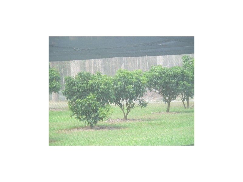 Delaneys Creek QLD 4514