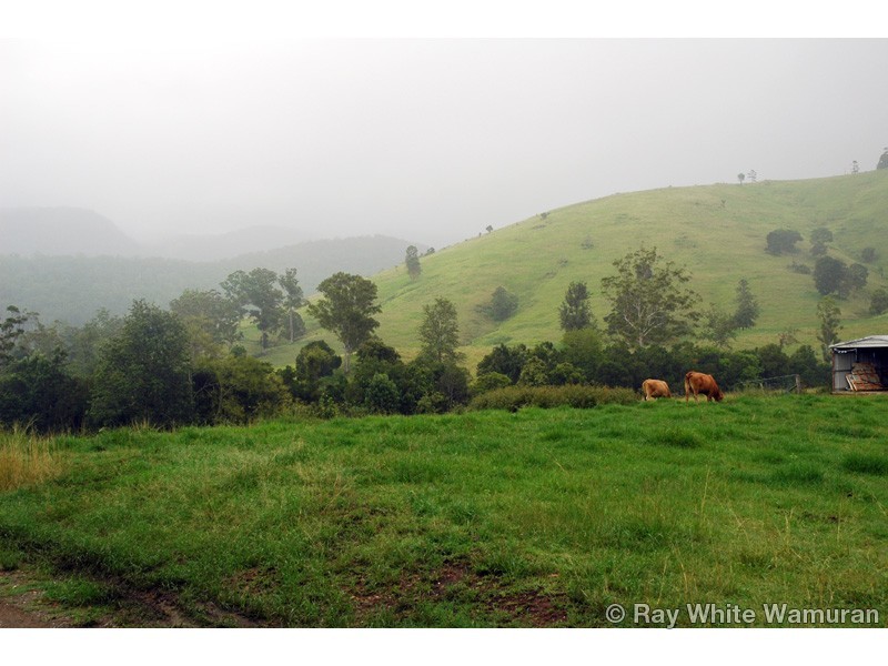 Delaneys Creek QLD 4514