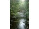 Delaneys Creek QLD 4514