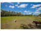 Wamuran QLD 4512
