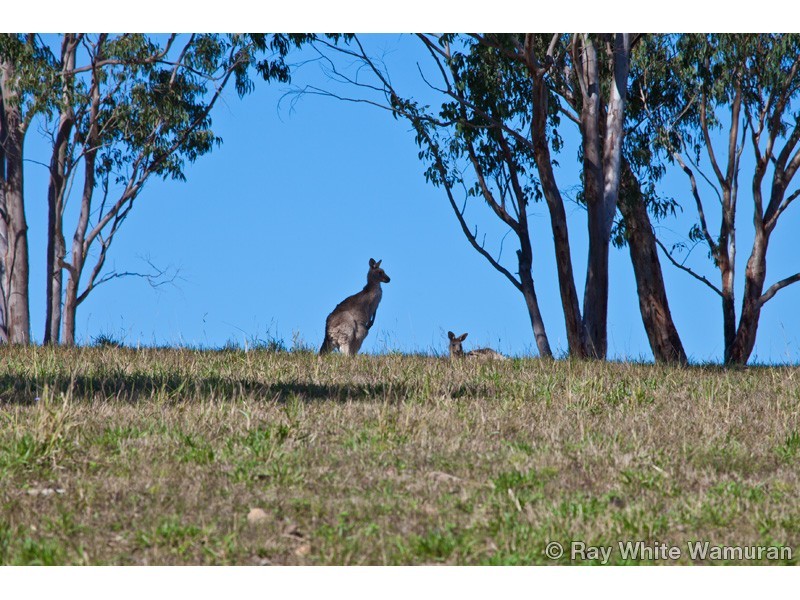 Woodford QLD 4514