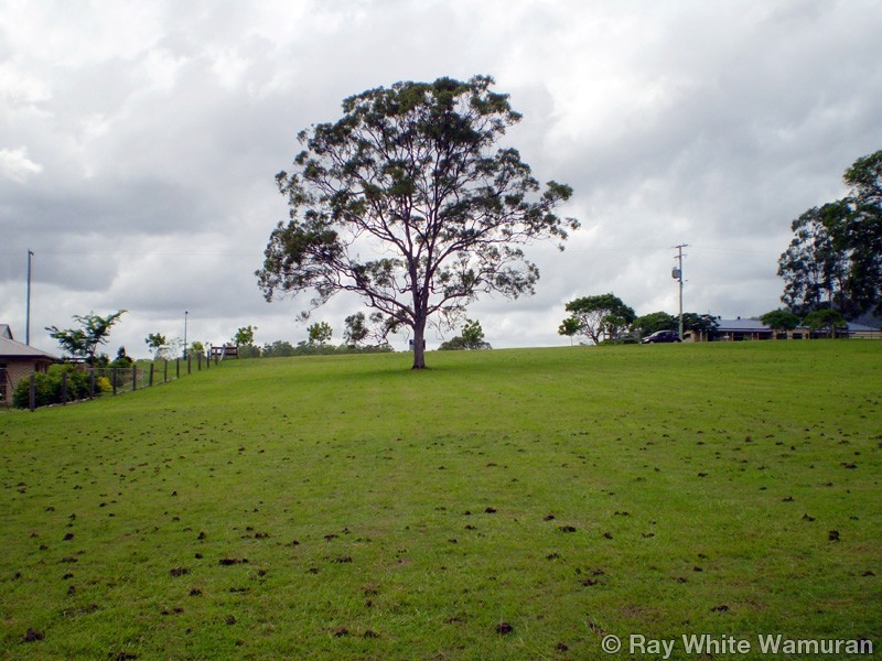 Delaneys Creek QLD 4514