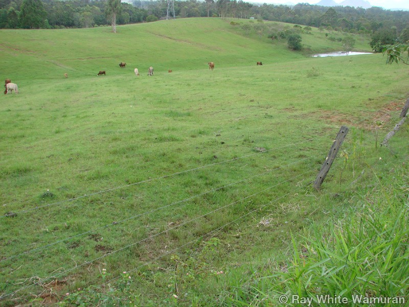 96-146 R Williams Road, Wamuran QLD 4512