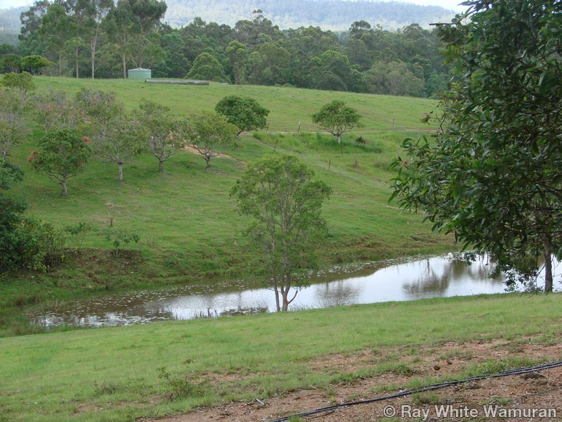 96-146 R Williams Road, Wamuran QLD 4512