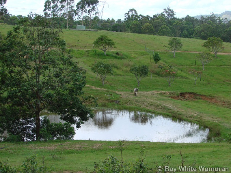 96-146 R Williams Road, Wamuran QLD 4512