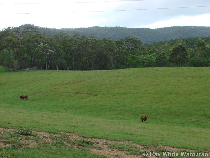 96-146 R Williams Road, Wamuran QLD 4512