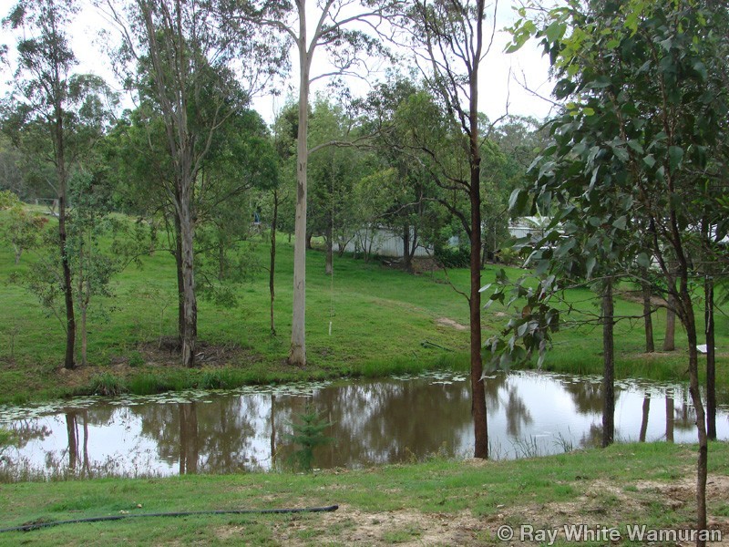 96-146 R Williams Road, Wamuran QLD 4512