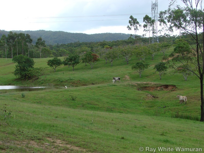 96-146 R Williams Road, Wamuran QLD 4512