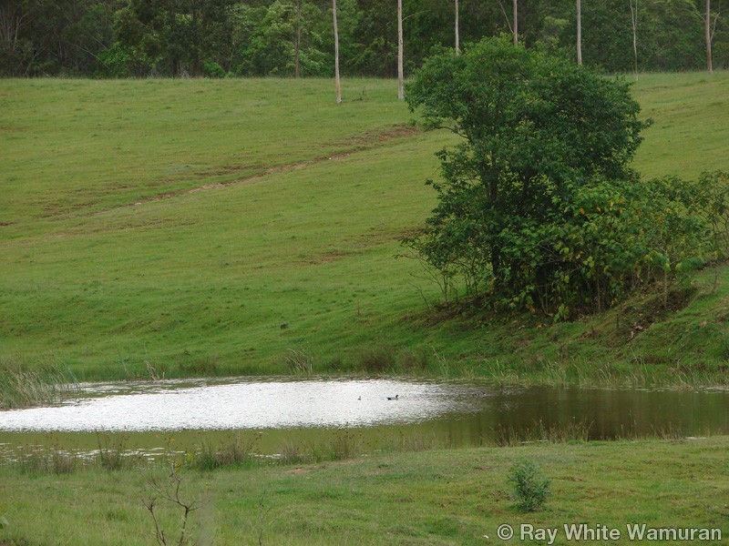 96-146 R Williams Road, Wamuran QLD 4512