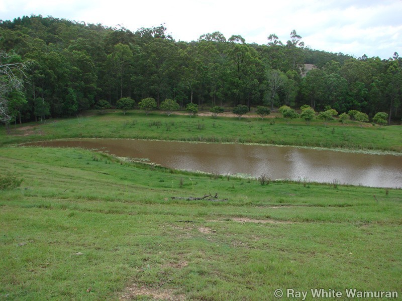 96-146 R Williams Road, Wamuran QLD 4512