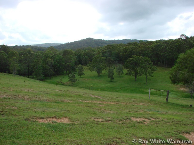 96-146 R Williams Road, Wamuran QLD 4512