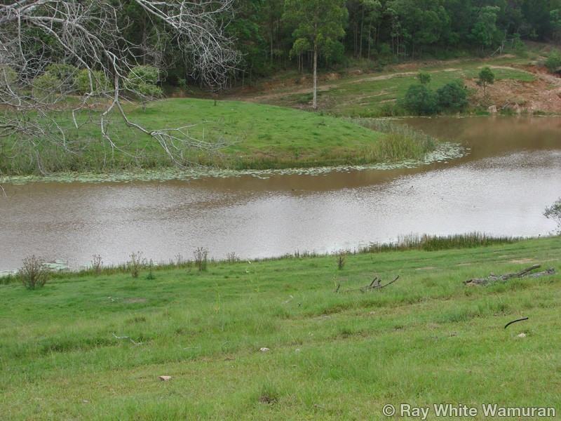 96-146 R Williams Road, Wamuran QLD 4512