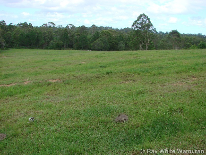 96-146 R Williams Road, Wamuran QLD 4512